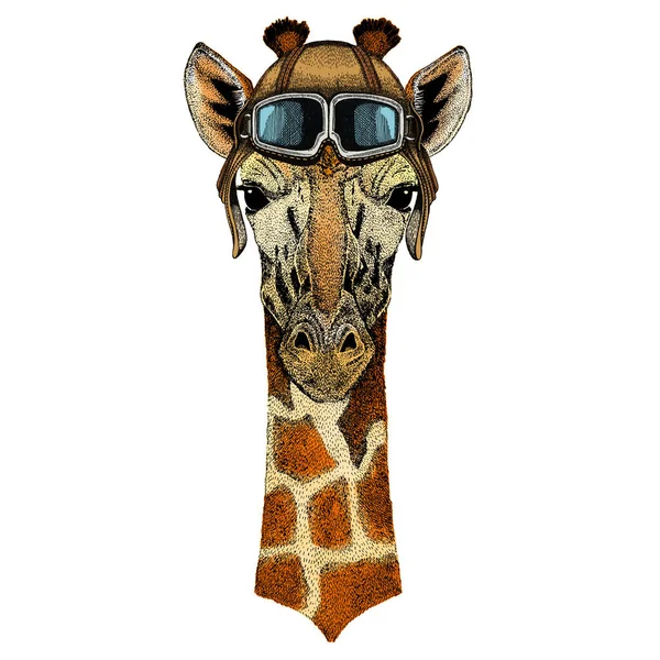 Cabeça de girafa. Retrato de animal selvagem. Capacete aviador vintage com óculos . — Vetor de Stock
