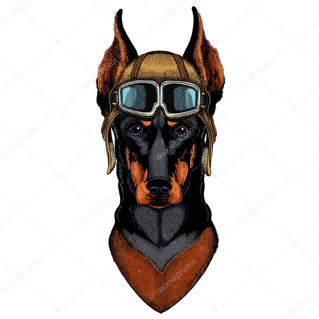 Vintage aviator helmet with googles.