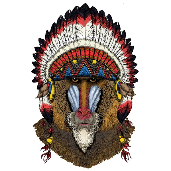 Pawian, małpa, małpa. Głowa, portret zwierzęcia. Nakrycia głowy tradycyjne indyjskie. — Wektor stockowy