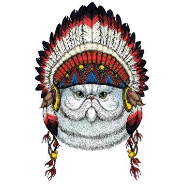 İranlı uzun saçlı kedi. Evcil hayvan portresi. Hayvan kafası. Kedi suratlı. Geleneksel Hint başlığı.