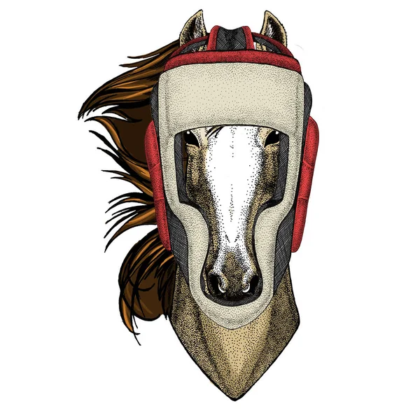 馬、馬、馬、コース。野生動物の肖像画。ボクシングヘルメット. — ストックベクタ