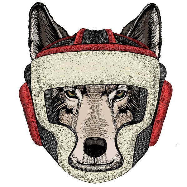 Wolf portrait. Head of wild animal. Boxing helmet. — Stock Vector