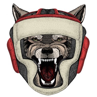 Kurt portresi. Vahşi hayvanların başı. Boks kaskı.