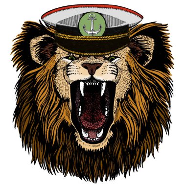 Aslan. Vahşi hayvan portresi. Afrikalı kedinin yüzü.