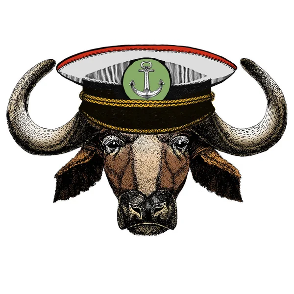 Retrato de búfalo, bisonte, toro, vaca. Cara de animal . — Vector de stock