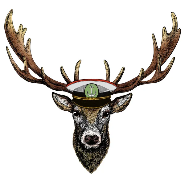 Deer portrait. Head of wild animal. — Stock Vector