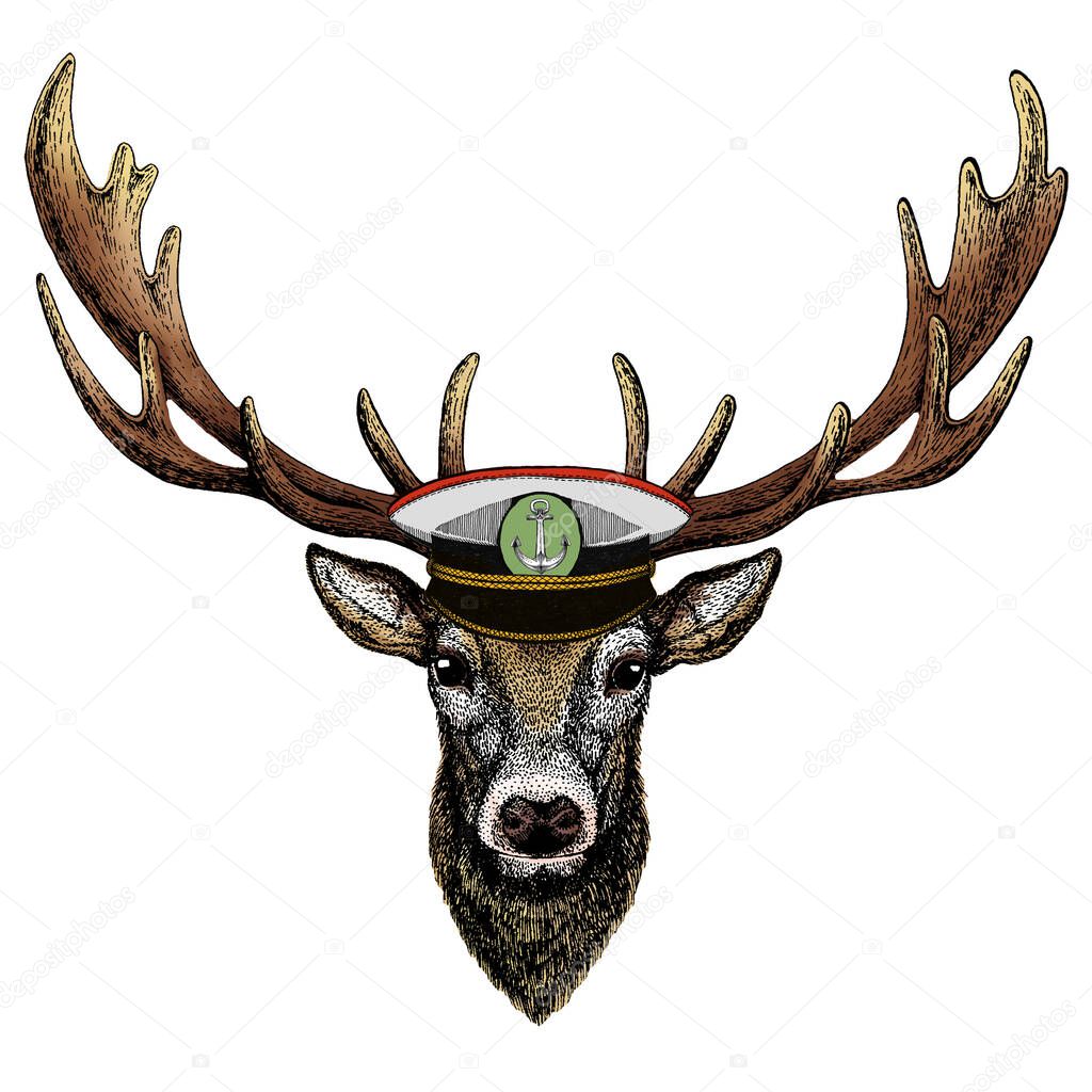 Animal wearing Sailor hat. Marine capitan