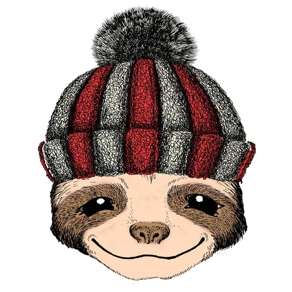 나무늘보 사진. 귀여운 동물의 얼굴. 털실로 만든 겨울 모자. — 스톡 벡터