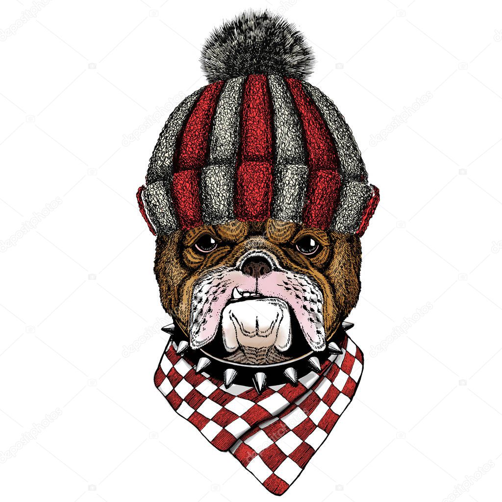 Knitted wool winter hat. Wild animal.
