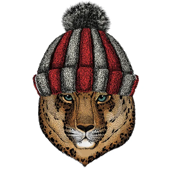Leopardo, cara de jaguar. Retrato de animal salvaje. Gorro de invierno de lana tejida . — Vector de stock