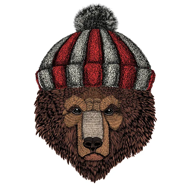 Un ours sauvage. Portrait d'animal. Chapeau d'hiver en laine tricotée . — Image vectorielle