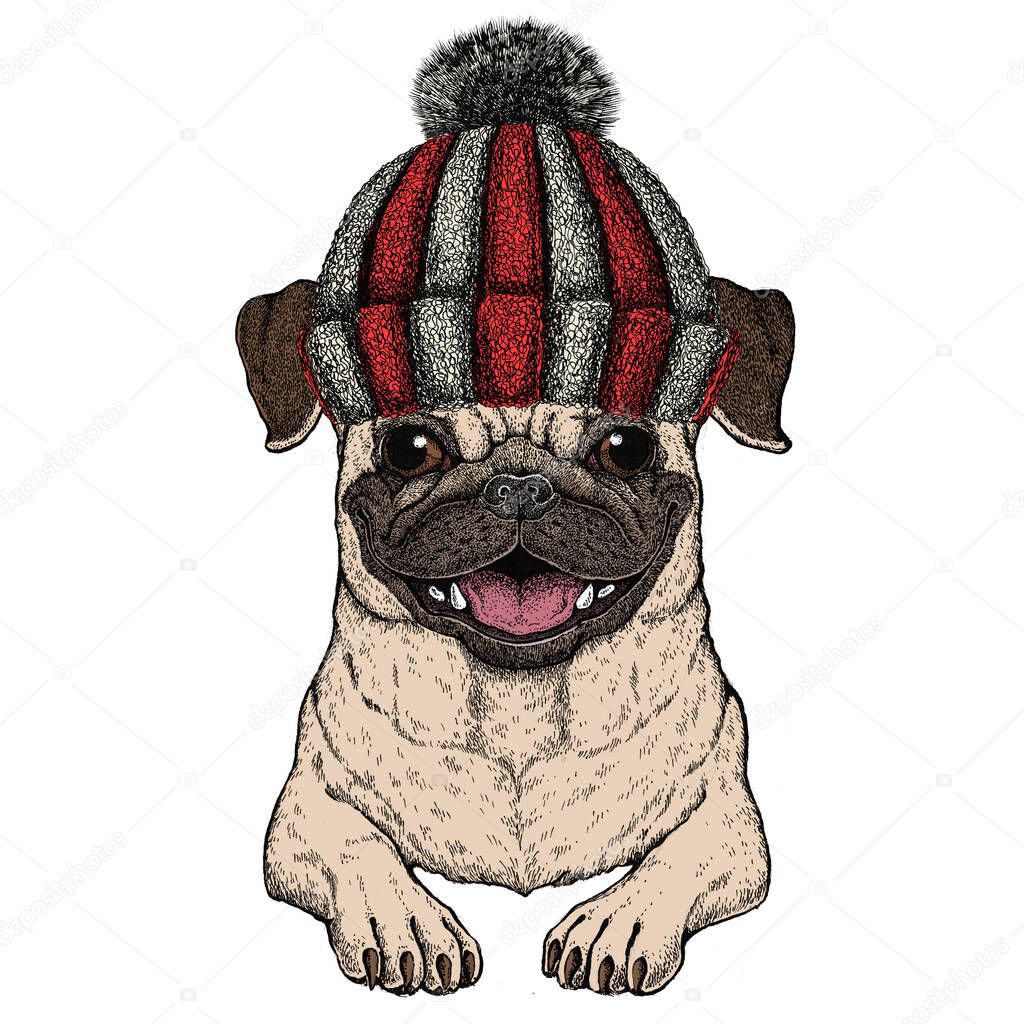 Knitted wool winter hat. Wild animal.