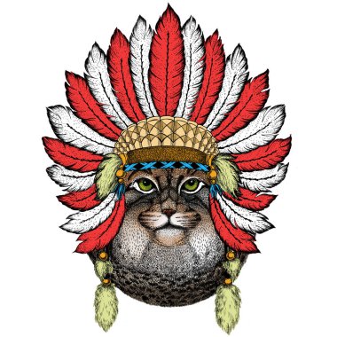 Pallas kedi kafası. Manul kafa. Vahşi kedi portresi. Tüylü Kızılderili başlığı. Boho tarzı.