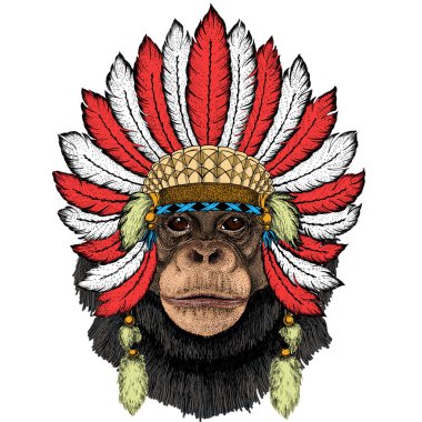 Şempanze, şempanze portresi. Maymun suratlı. Maymun kafası. Tüylü Kızılderili başlığı. Boho tarzı.