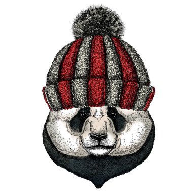 Büyük panda, bambu ayı portresi. Şirin bir hayvanın yüzü. Ayı kafası. Örülmüş yün kış şapkası..