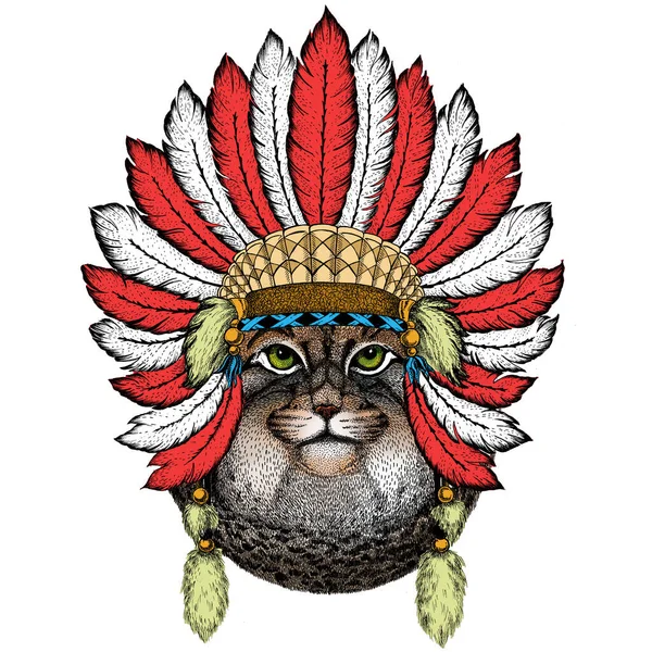 Pallas cat head. Manul head. Wild cat portrait. Indian headdress with feathers. Boho style. — Stock Vector