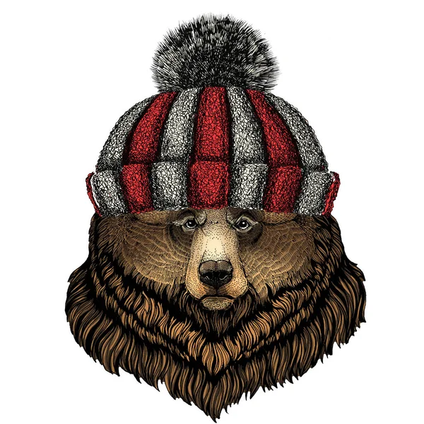 Medvídku Grizzly. Portrét divokého zvířete. Pletené vlněné zimní čepice. — Stockový vektor