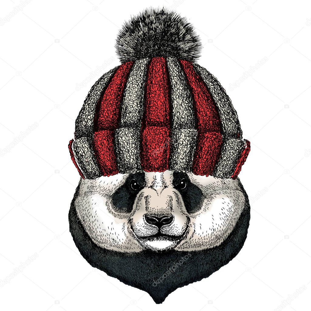 Knitted wool winter hat. Wild animal.
