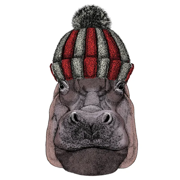 Portret van nijlpaard, nijlpaard. Gebreide wollen wintermuts. — Stockvector
