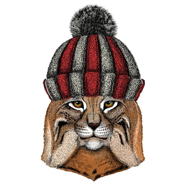 Vaşak, vaşak, trot portresi. Vahşi kedinin başı. Hayvan suratlı. Örülmüş yün kış şapkası.. — Stok Vektör