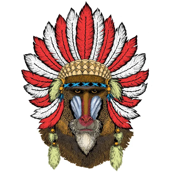 Pavian, Affe, Affe. Kopf, Porträt des Tieres. Indische Kopfbedeckung mit Federn. Boho-Stil. — Stockvektor