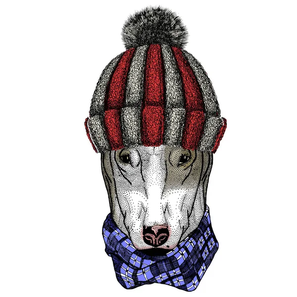 ブルターリア犬。漫画動物の肖像画。ニットウールの冬の帽子. — ストックベクタ