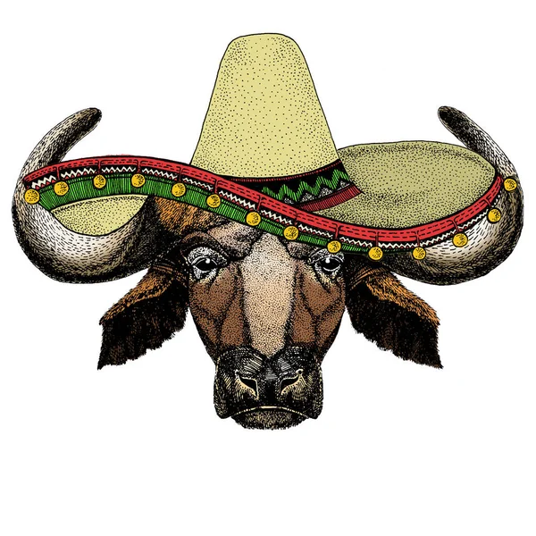 Retrato de búfalo, bisonte, toro, vaca. Sombrero sombrero mexicano. Cara de animal . — Vector de stock