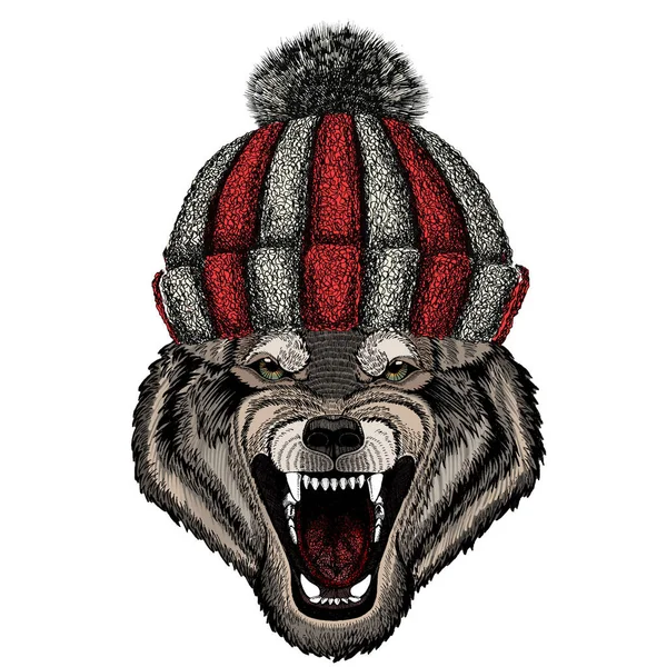 オオカミの肖像画。野生動物の頭。ニットウールの冬の帽子. — ストックベクタ