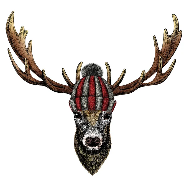 Deer portrait. Head of wild animal. Knitted wool winter hat. — Stock Vector