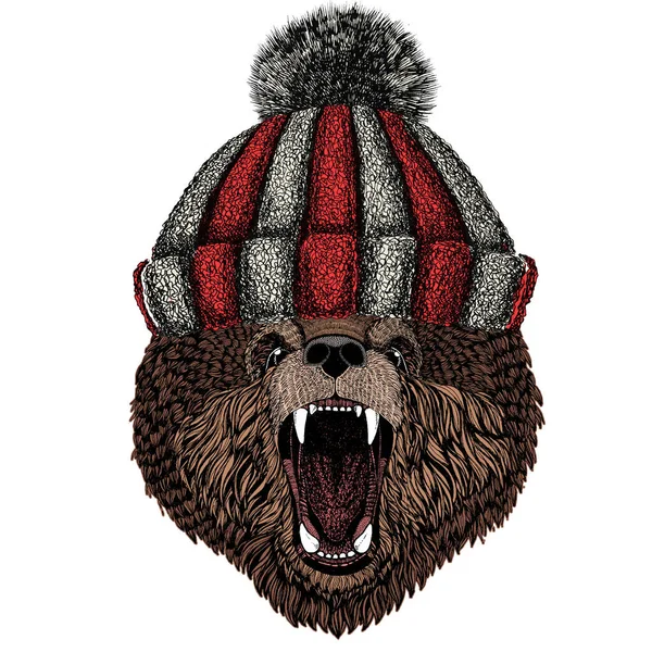 Wild bear. Portrait of animal. Knitted wool winter hat. — Stock Vector