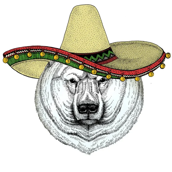 Polar bear portrait. Sombrero mexican hat. Head of wild animal — Stock Vector