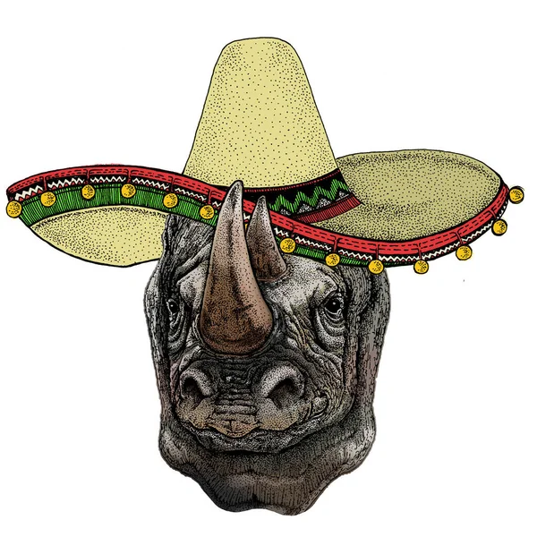 サイ、サイの肖像画。メキシコ風の帽子だ。野生動物の頭. — ストックベクタ