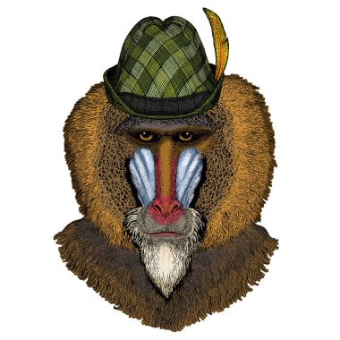 Maymun, maymun, maymun. Avusturya bavyera tirol şapkası. Bira festivali. Ekim Festivali.