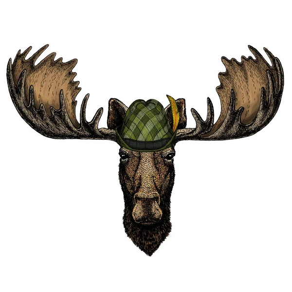 Moose head. Portrait of funny animal. Austrian bavarian tirol hat. Beer festival. Oktoberfest. — Stock Vector
