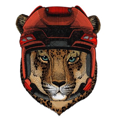 Leopar, jaguar surat. Vahşi hayvan portresi.