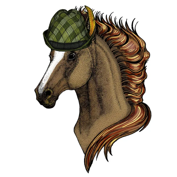 馬、馬、馬、コース。野生動物の肖像画。オーストリアの野蛮人の制御帽子。ビール祭りだ。オクトーバーフェスト. — ストックベクタ
