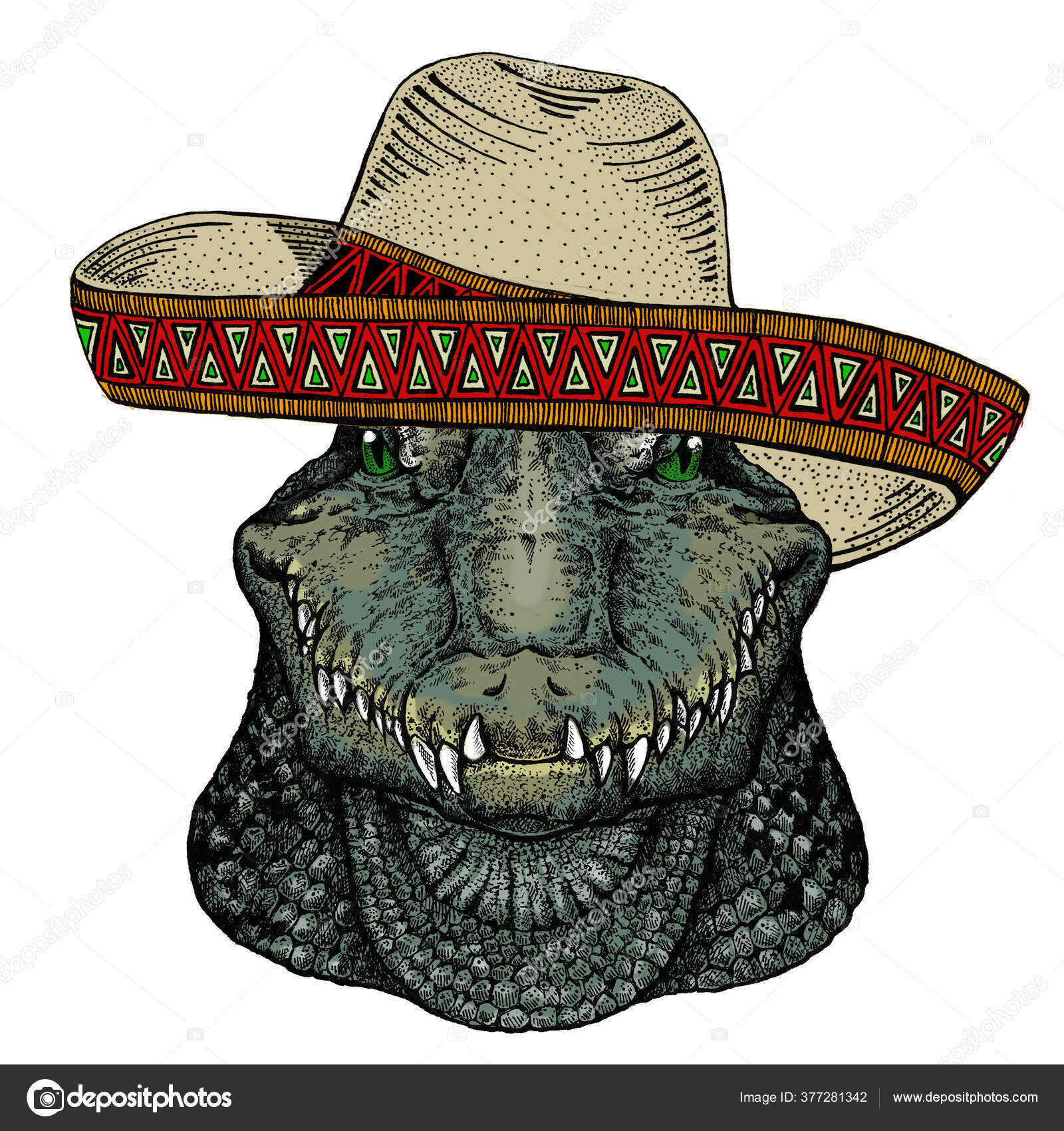 Alligator. Sombrero mexican hat. Portrait of african agressive animal.  Stock Vector by ©Helen_F 377281342
