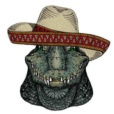 Timsah. Meksika şapkalı Sombrero. Afro saldırgan bir hayvanın portresi.