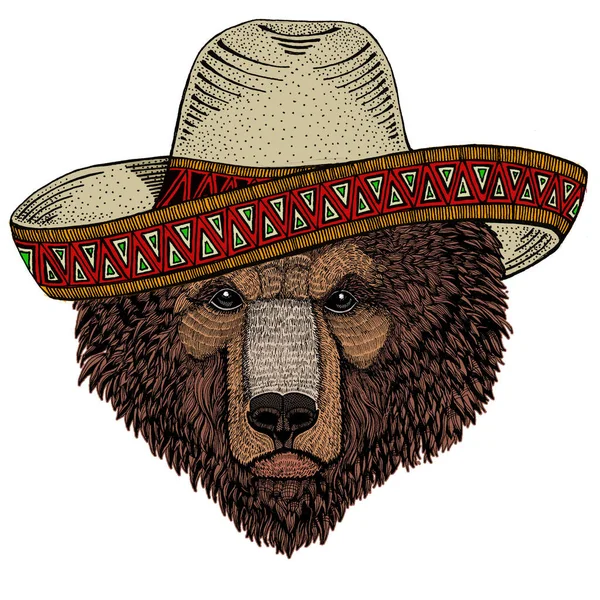 Дикий медведь. Мексиканская шляпа Сомбреро. Портрет животного для эмблемы, логотипа, футболки. — стоковый вектор