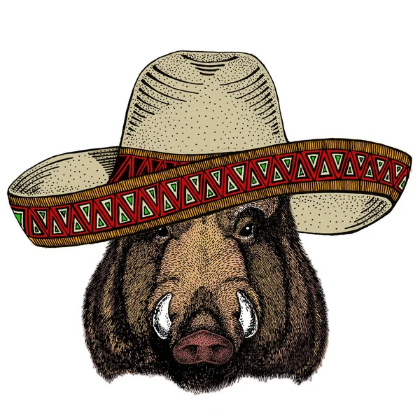 Портрет дикой свиньи, кабана, свиньи. Мексиканская шляпа Сомбреро. Лицо храброго животного. — стоковый вектор