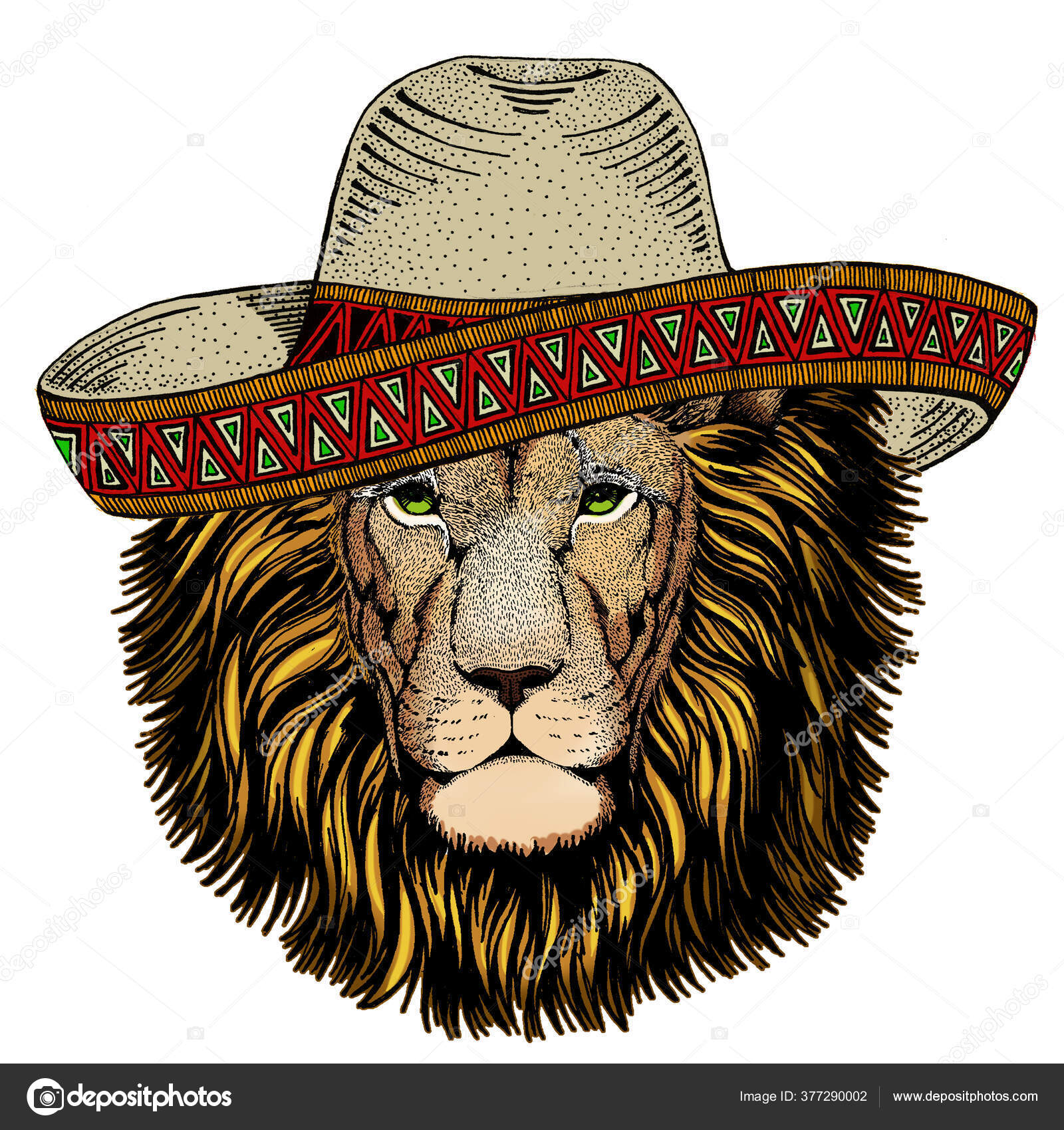 Lion Head Wild Animal Portrait Sombrero Mexican Hat Face Of African Cat Vector Image By C Helen F Vector Stock 377290002