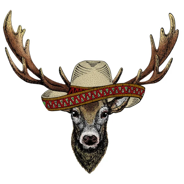 Ritratto di cervo. Cappello sombrero messicano. Testa di animale selvatico. — Vettoriale Stock