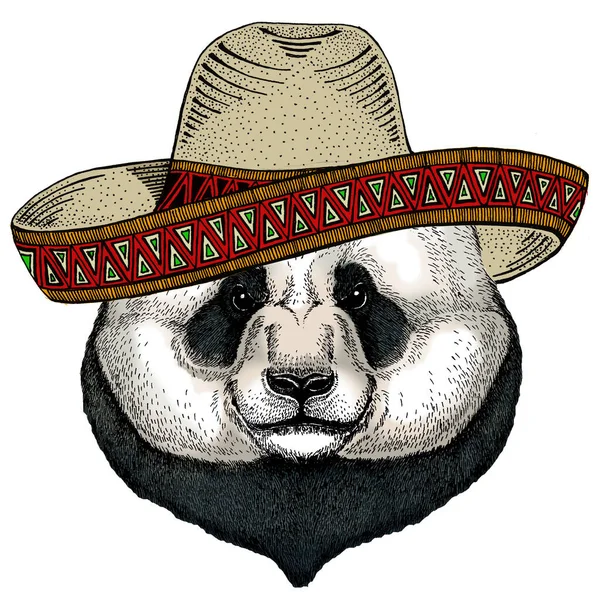 Big panda, bamboo bear portrait. Sombrero mexican hat. Face of cute animal. Bear head. — Stock Vector