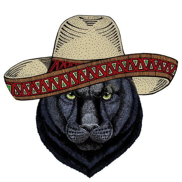 Panthère noire, puma. Chapeau sombrero mexicain. Tête d'animal. Portrait de chat sauvage . — Image vectorielle