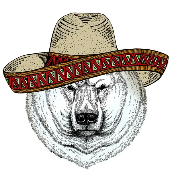 Retrato de oso polar. Sombrero sombrero mexicano. Cabeza de animal salvaje — Vector de stock