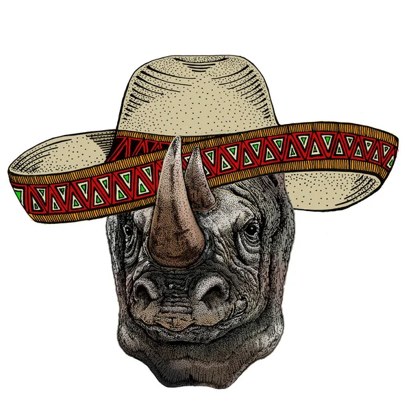 Rinoceronte, retrato de rinoceronte. Sombrero sombrero mexicano. Cabeza de animal salvaje . — Archivo Imágenes Vectoriales