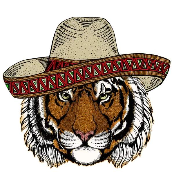虎の肖像画。メキシコ風の帽子だ。野良猫頭. — ストックベクタ