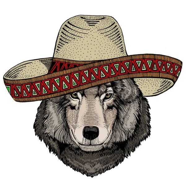 Portrait de loup. Chapeau sombrero mexicain. Tête d'animal sauvage. — Image vectorielle