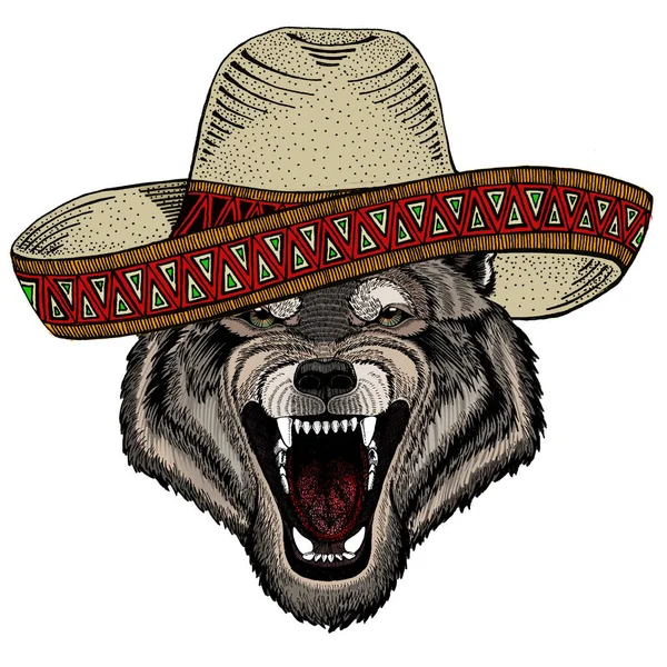 Portrait de loup. Chapeau sombrero mexicain. Tête d'animal sauvage. — Image vectorielle