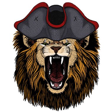 Aslan. Vahşi hayvan portresi. Afrika kedisinin yüzü. Şapkalı..